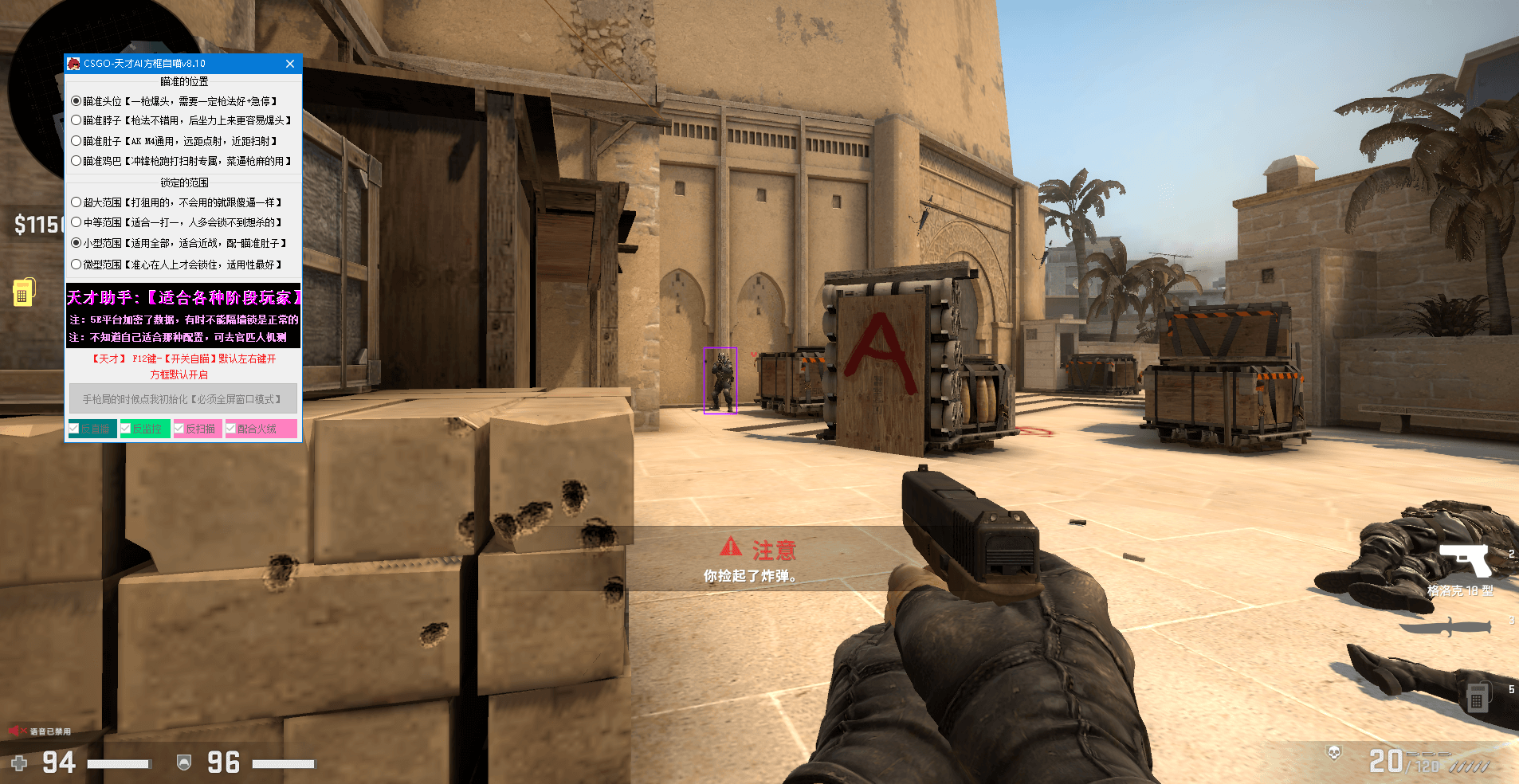 CSGO天才少年 - 专用自瞄v2024.9.24