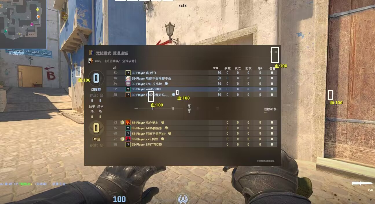 CS2芭蕉 - 5E专用方框透视v2024.1.24