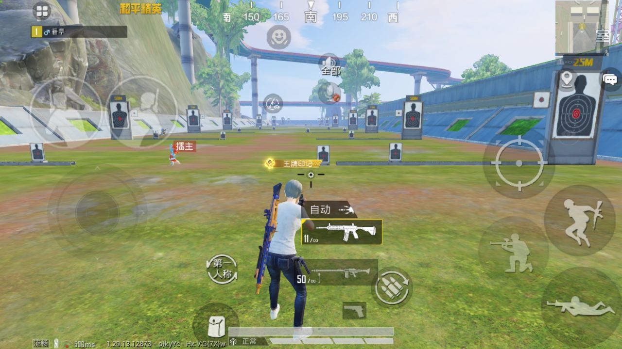 和平精英改文件超广角等v2024.11.7