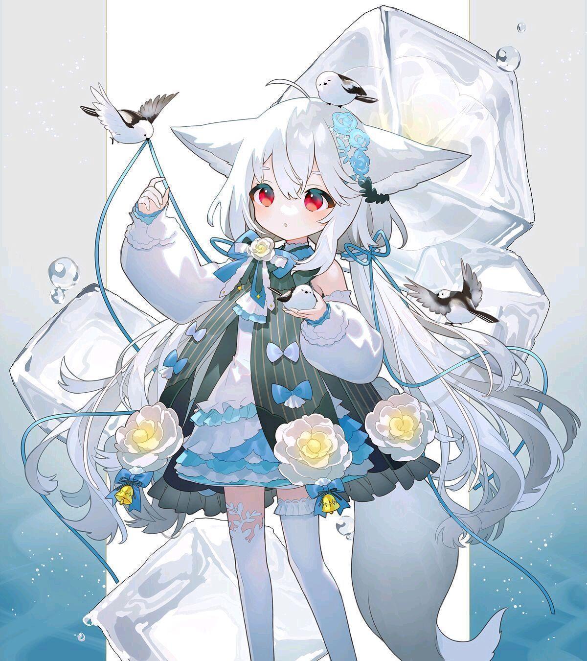 星尘之奇